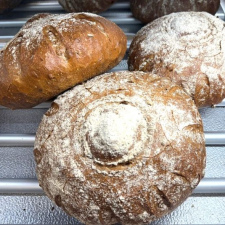 Brød
