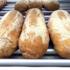 Brød